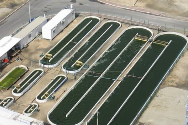 pic-algae-farming-ponds-khanjanipolymer.com